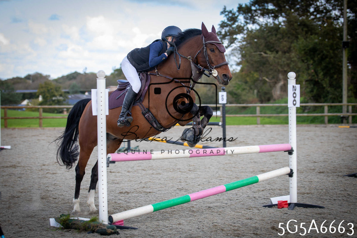 Funshine Show Jumping 2026 - Seniors