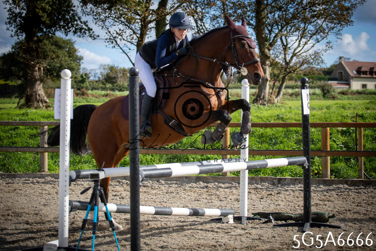 Funshine Show Jumping 2026 - Seniors