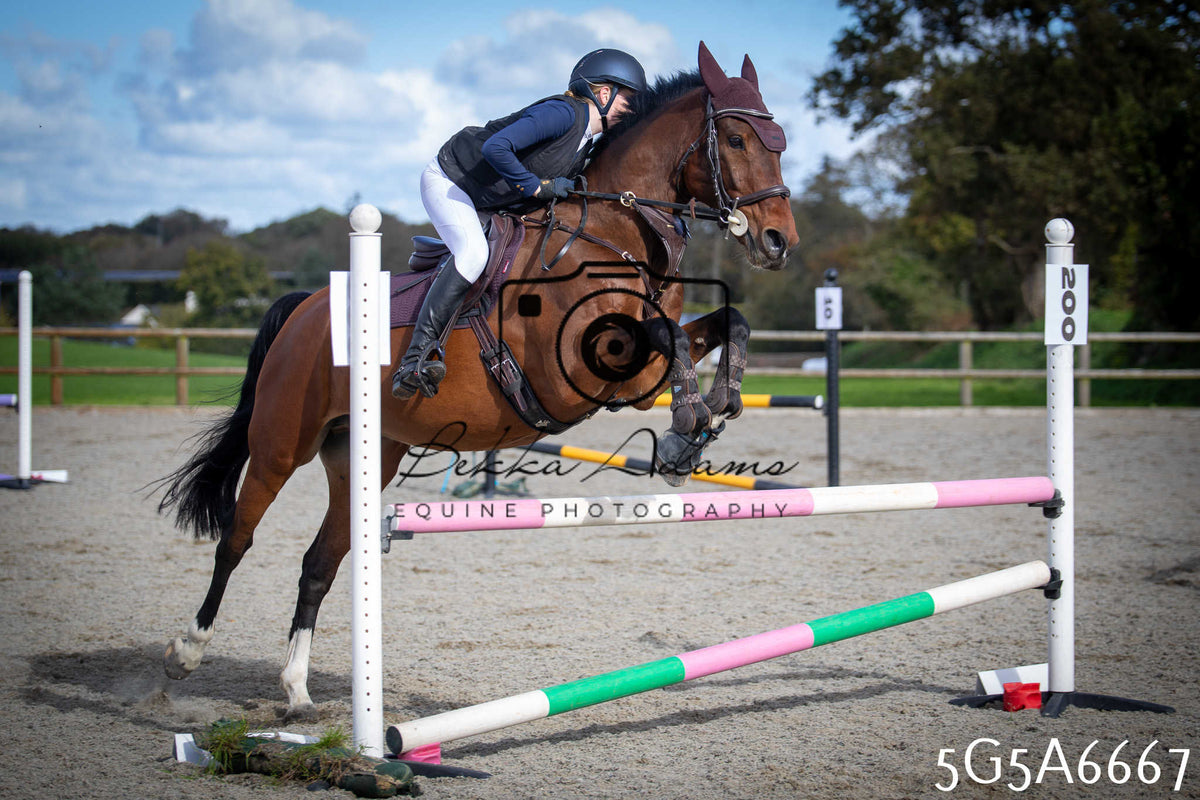 Funshine Show Jumping 2026 - Seniors