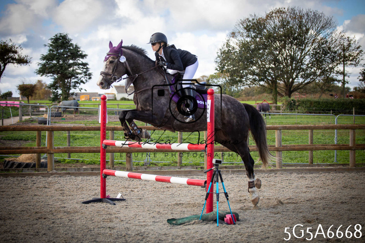 Funshine Show Jumping 2026 - Seniors