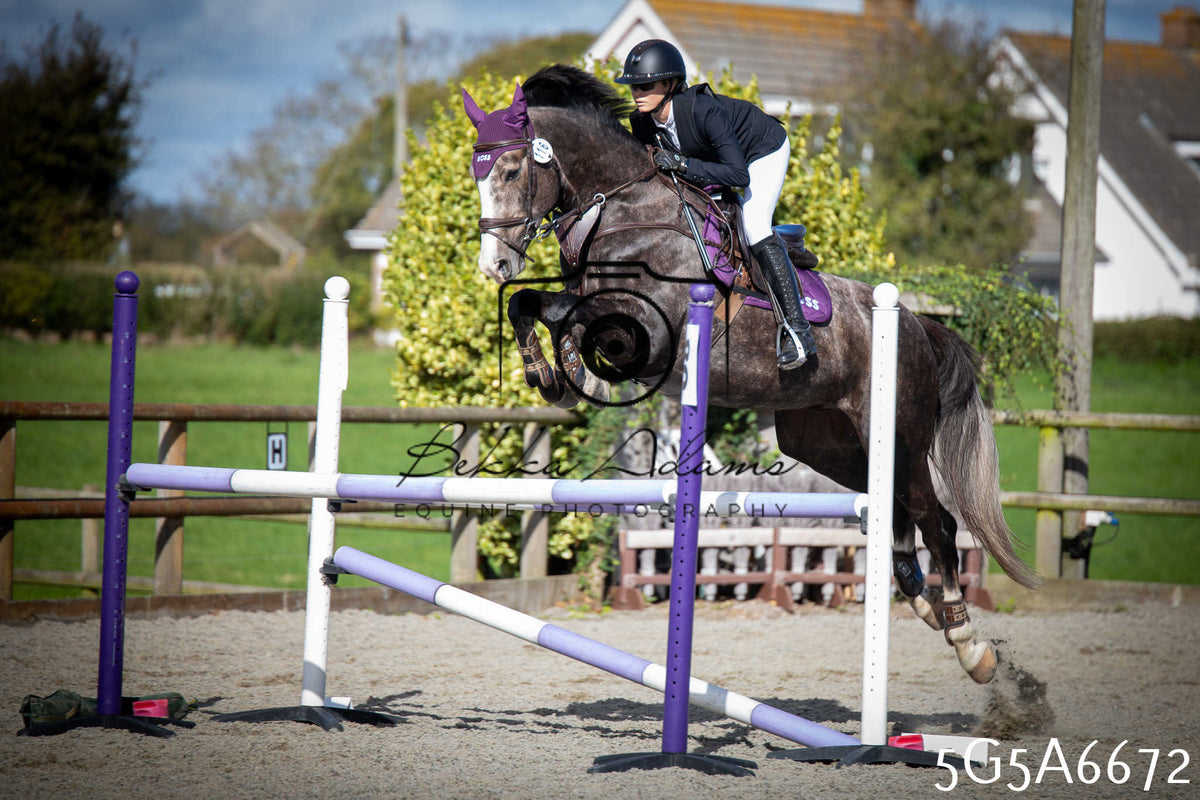Funshine Show Jumping 2026 - Seniors