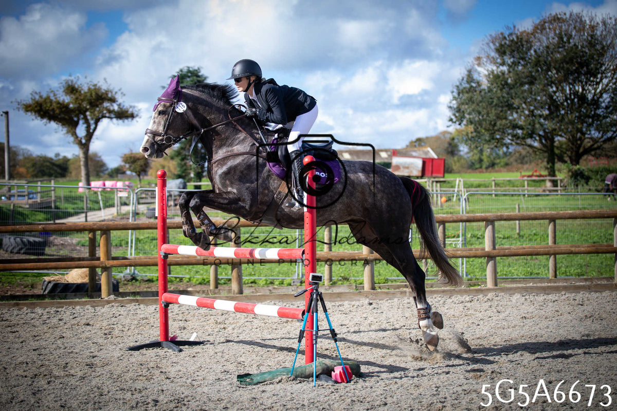 Funshine Show Jumping 2026 - Seniors