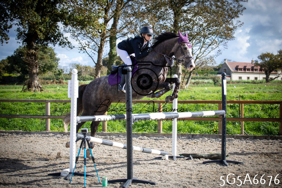 Funshine Show Jumping 2026 - Seniors
