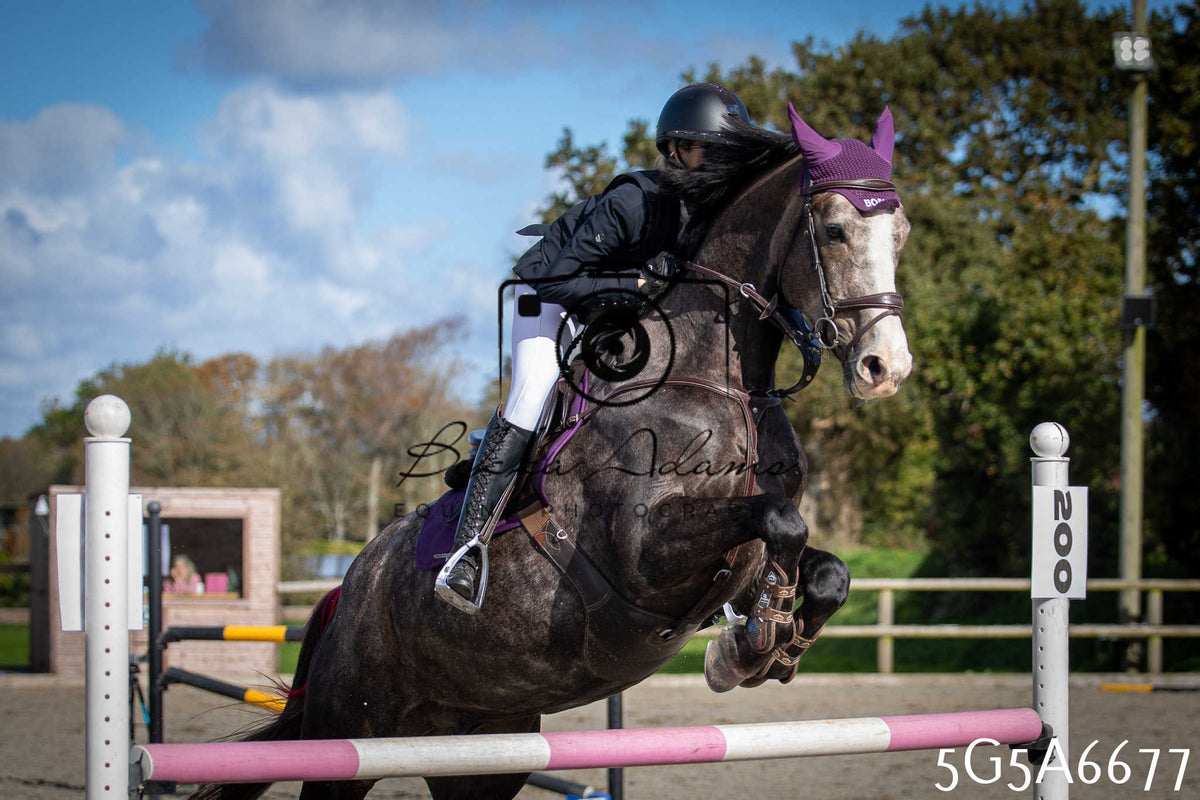 Funshine Show Jumping 2026 - Seniors