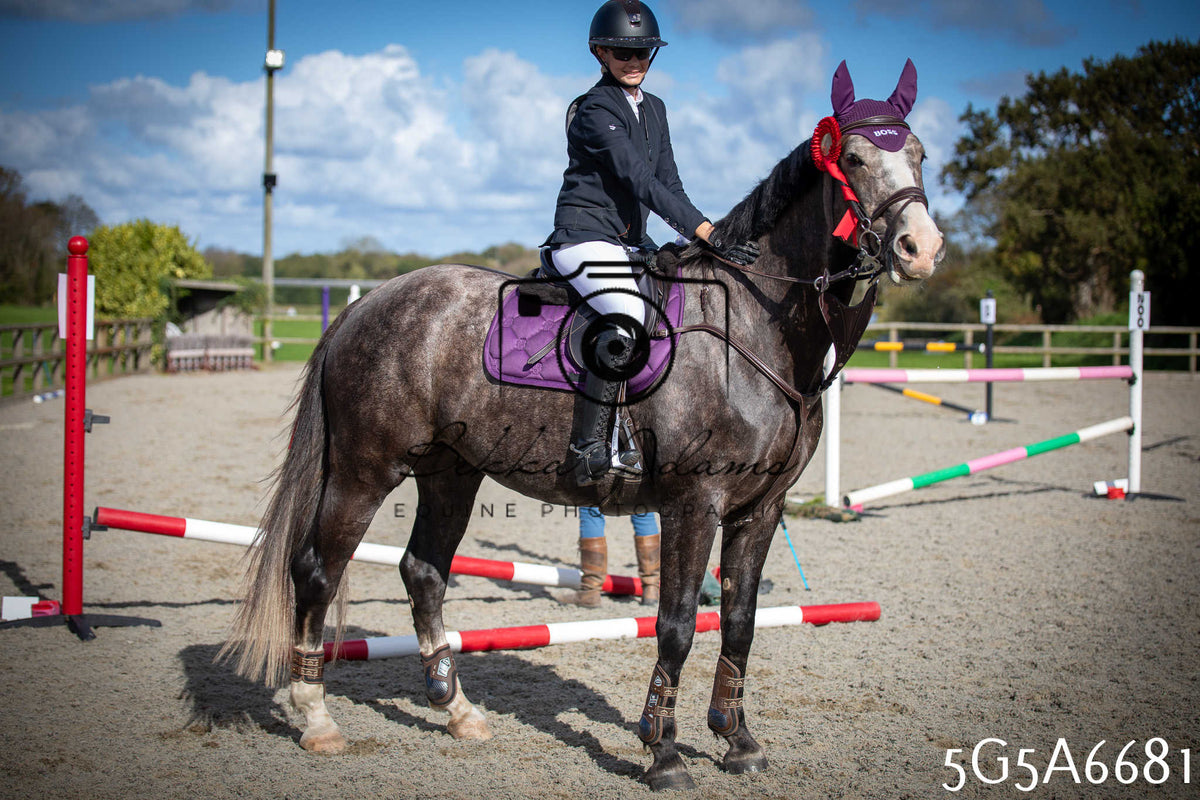 Funshine Show Jumping 2026 - Seniors