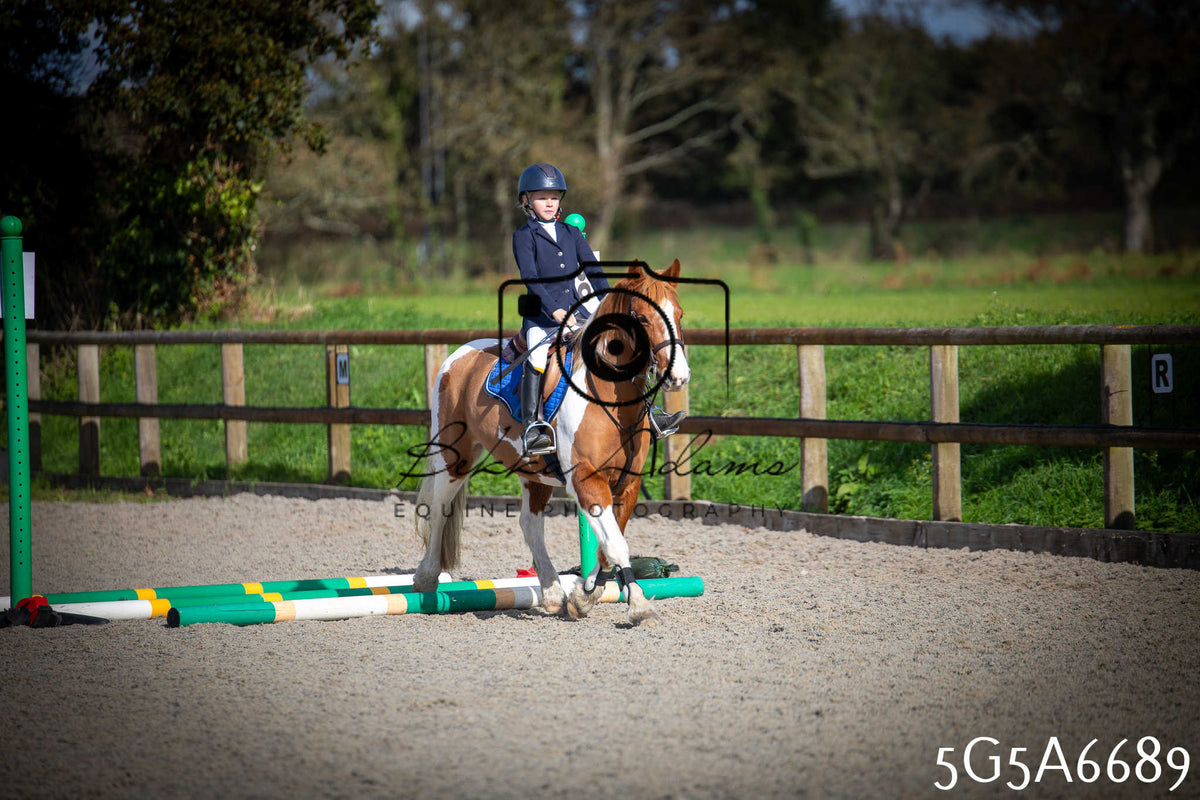 Funshine Show Jumping 2026 - Juniors pt1