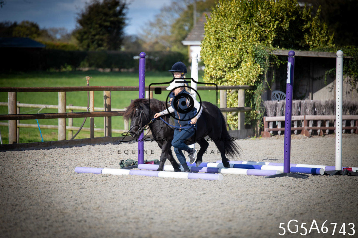 Funshine Show Jumping 2026 - Juniors pt1