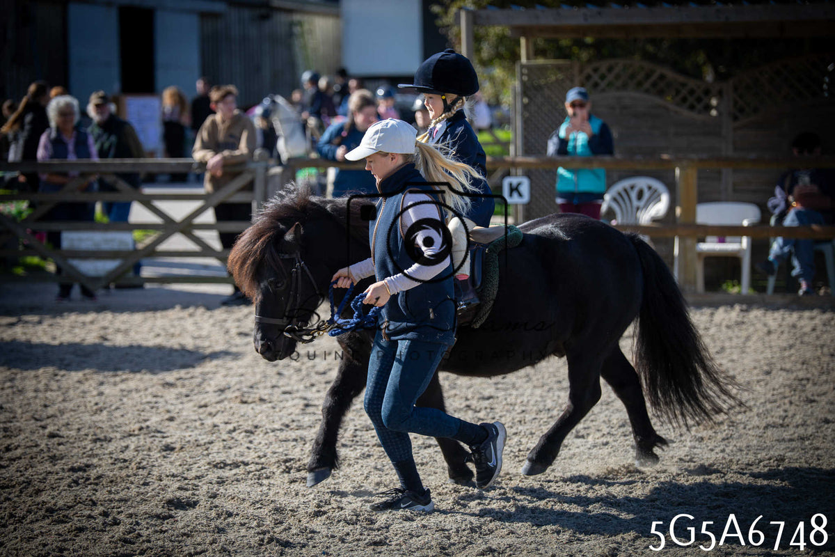 Funshine Show Jumping 2026 - Juniors pt1