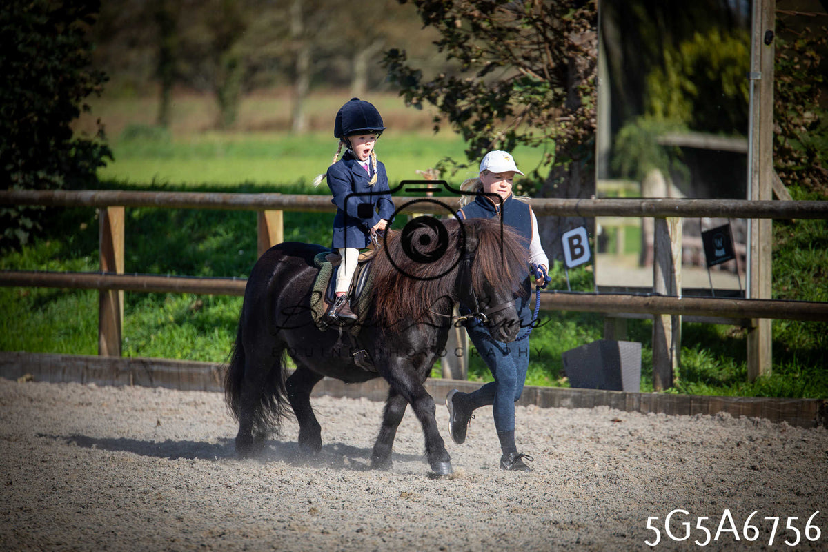 Funshine Show Jumping 2026 - Juniors pt1