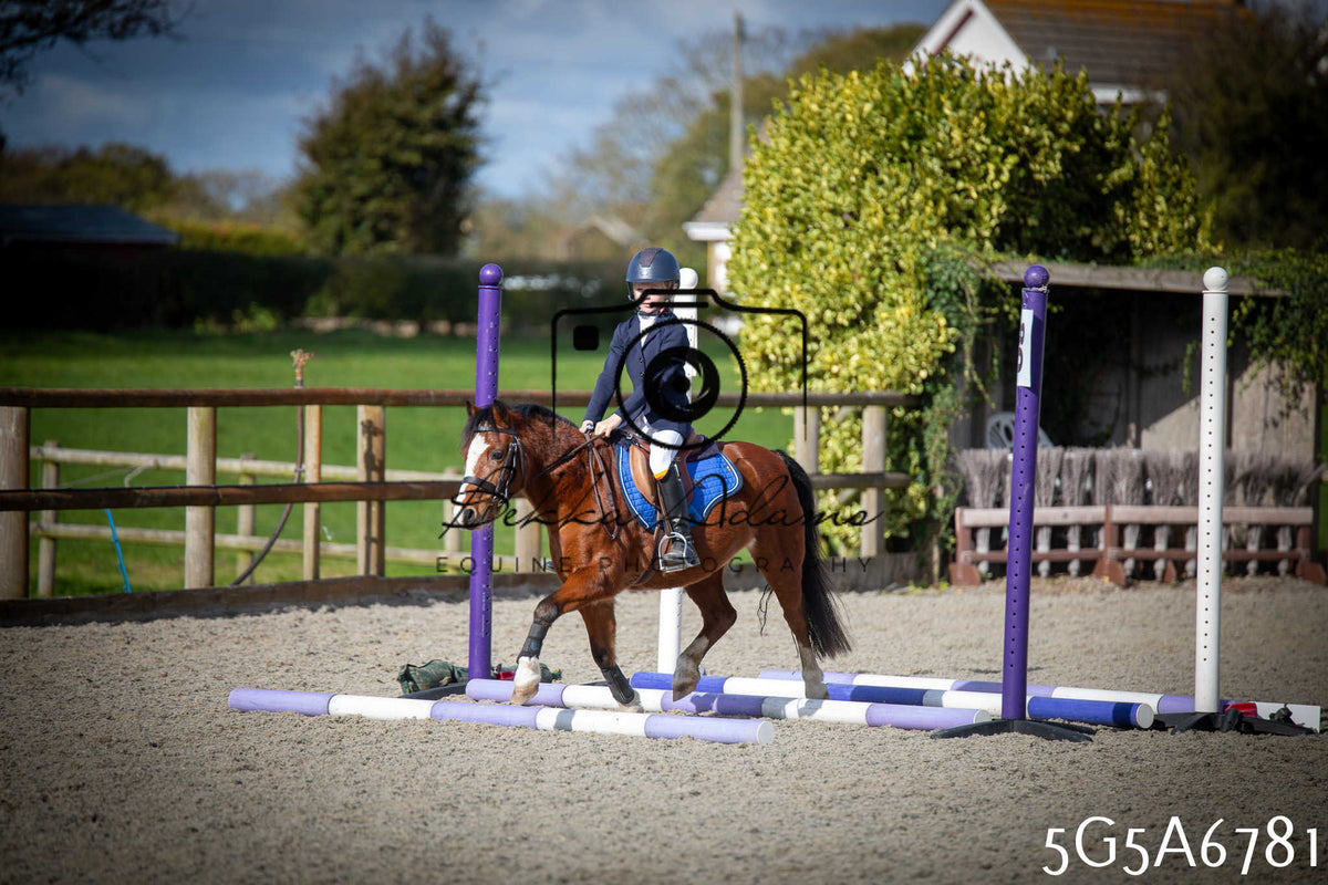 Funshine Show Jumping 2026 - Juniors pt1
