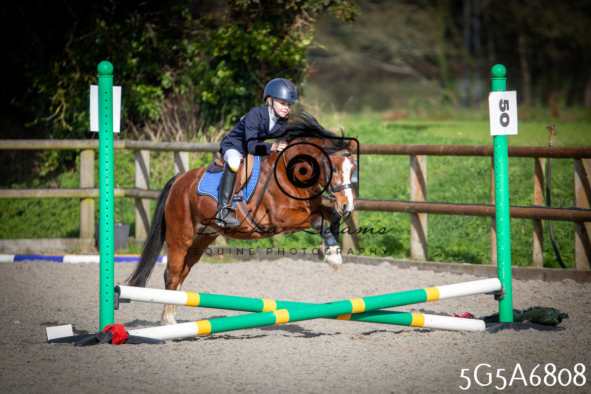 Funshine Show Jumping 2026 - Juniors pt1