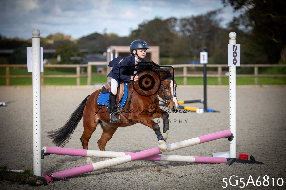 Funshine Show Jumping 2026 - Juniors pt1