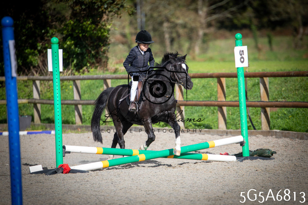 Funshine Show Jumping 2026 - Juniors pt1