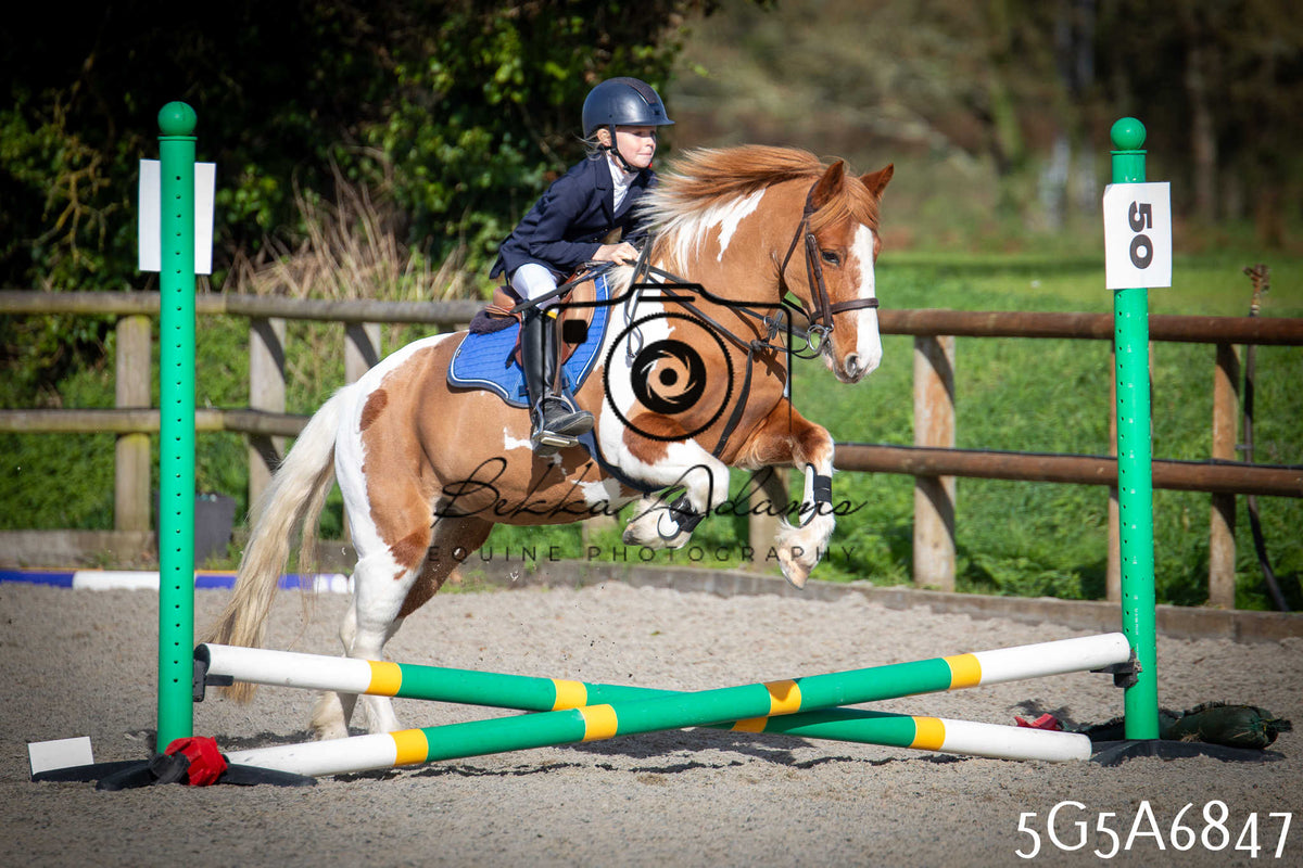 Funshine Show Jumping 2026 - Juniors pt1