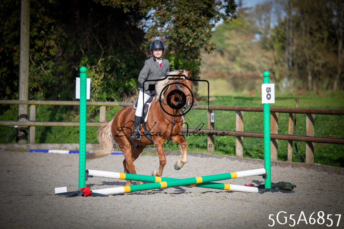 Funshine Show Jumping 2026 - Juniors pt1