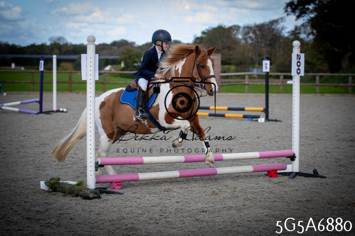 Funshine Show Jumping 2026 - Juniors pt1