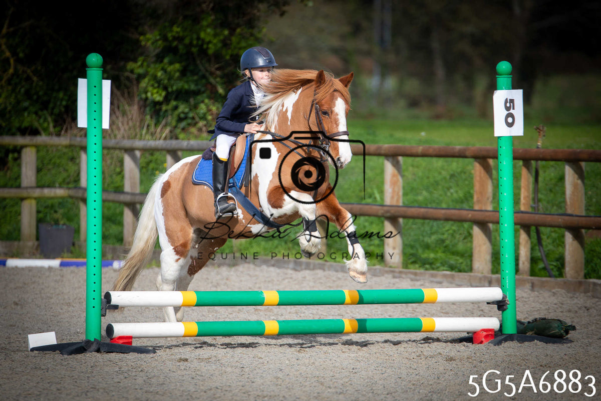 Funshine Show Jumping 2026 - Juniors pt1