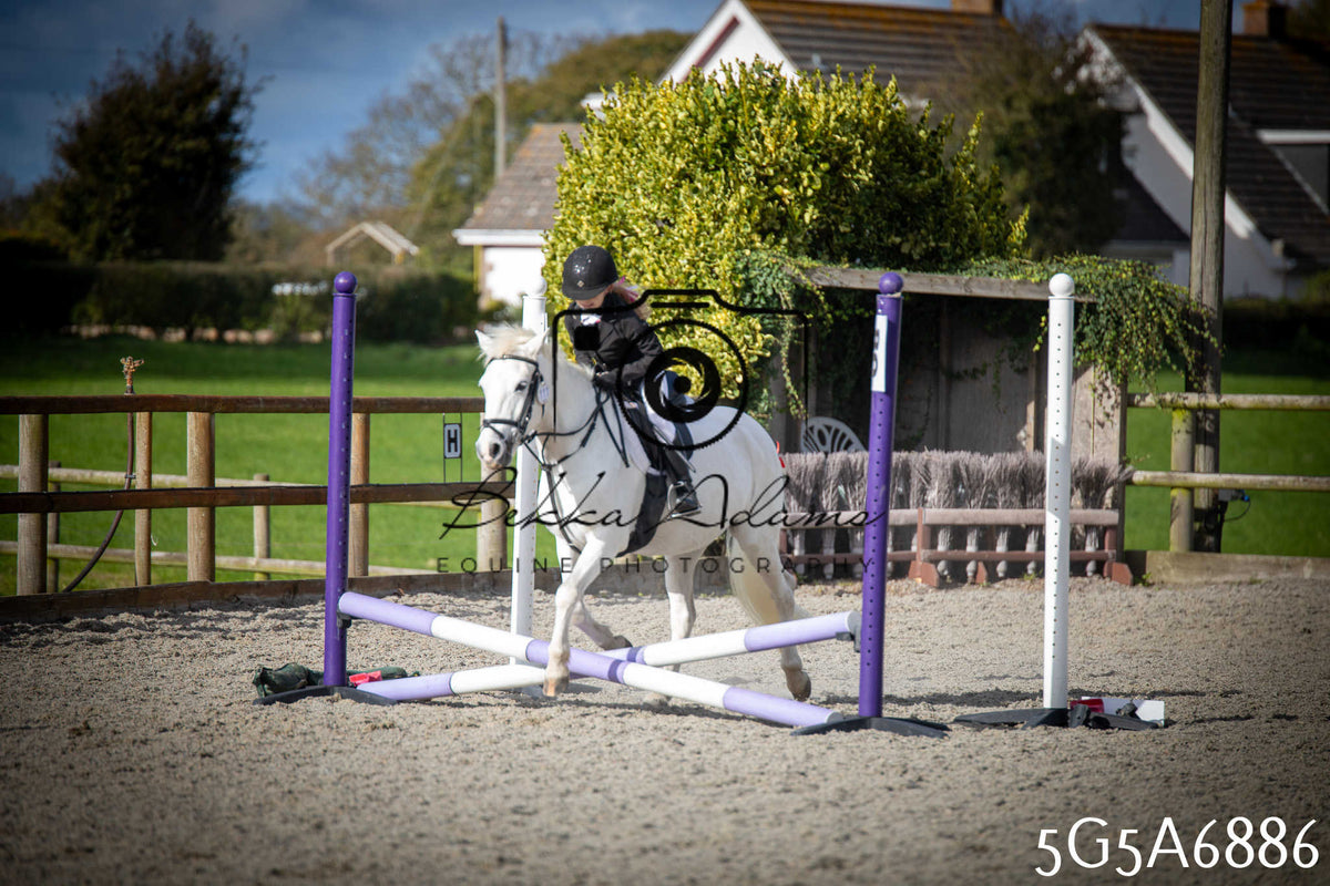 Funshine Show Jumping 2026 - Juniors pt1