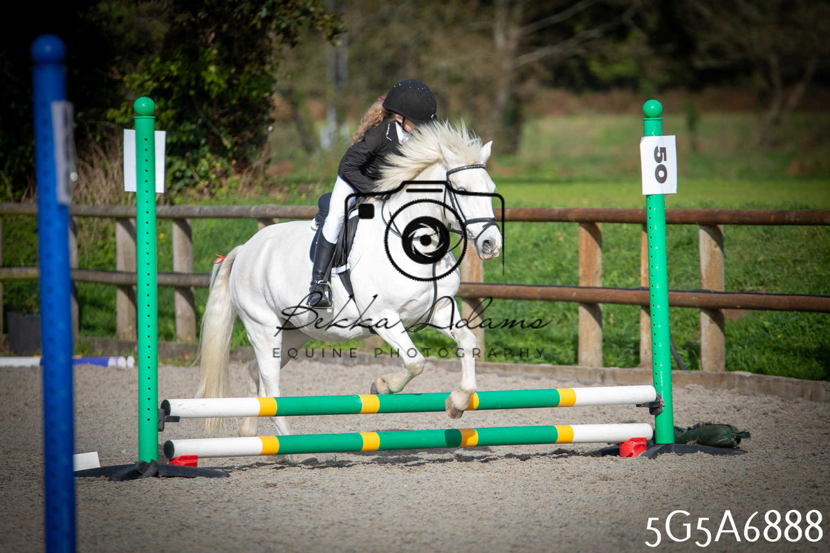 Funshine Show Jumping 2026 - Juniors pt1