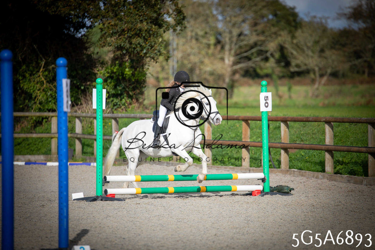 Funshine Show Jumping 2026 - Juniors pt1