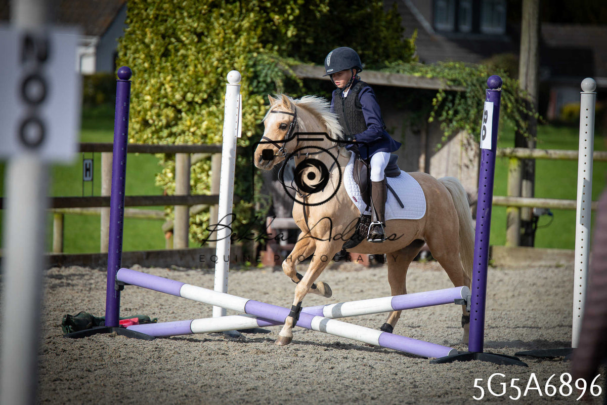 Funshine Show Jumping 2026 - Juniors pt1