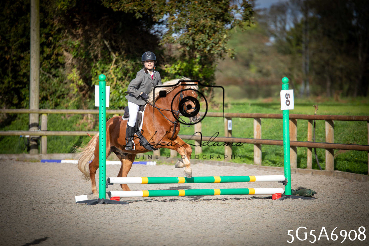 Funshine Show Jumping 2026 - Juniors pt1