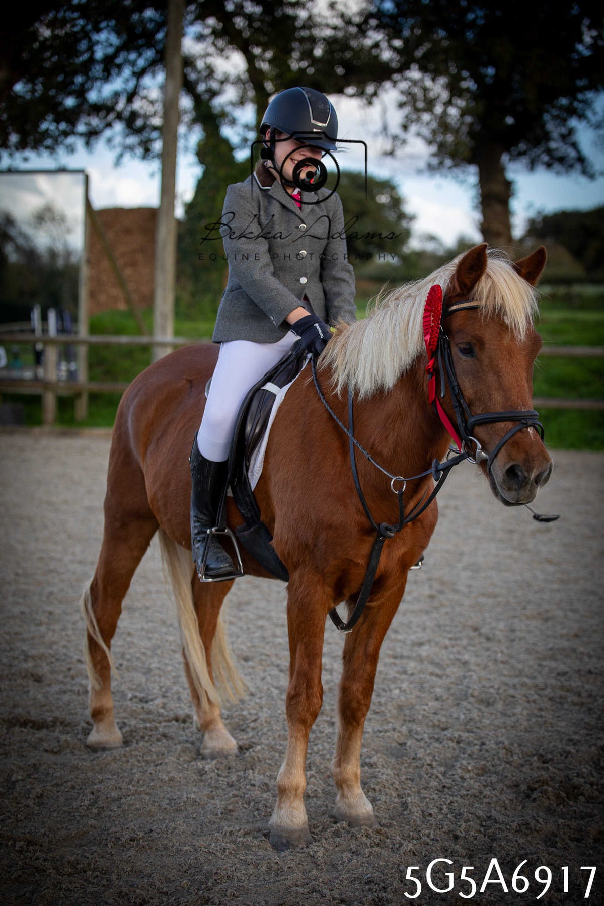 Funshine Show Jumping 2026 - Juniors pt1
