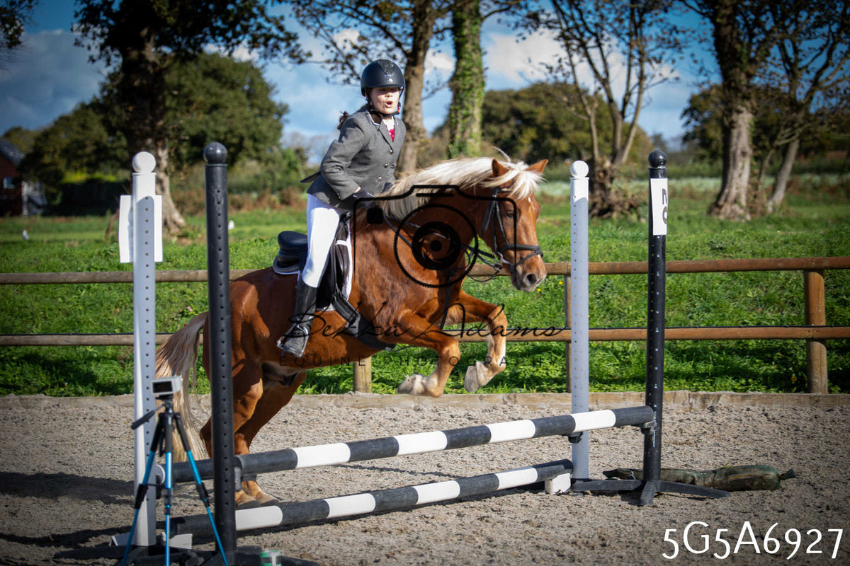 Funshine Show Jumping 2026 - Juniors pt1