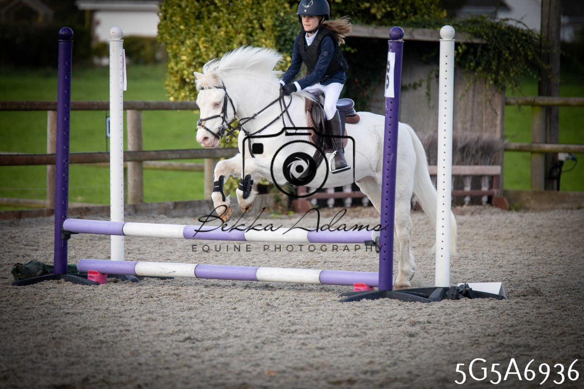 Funshine Show Jumping 2026 - Juniors pt1