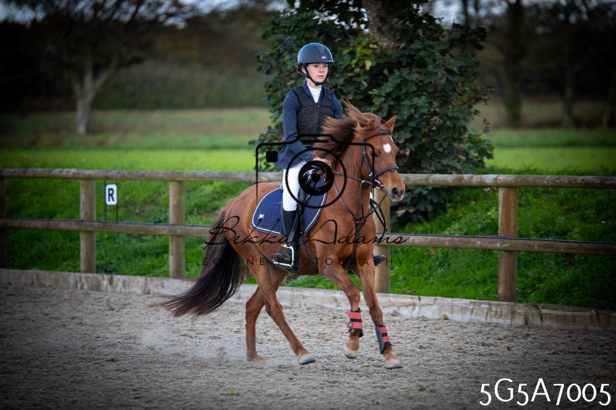 Funshine Show Jumping 2026 - Juniors pt2