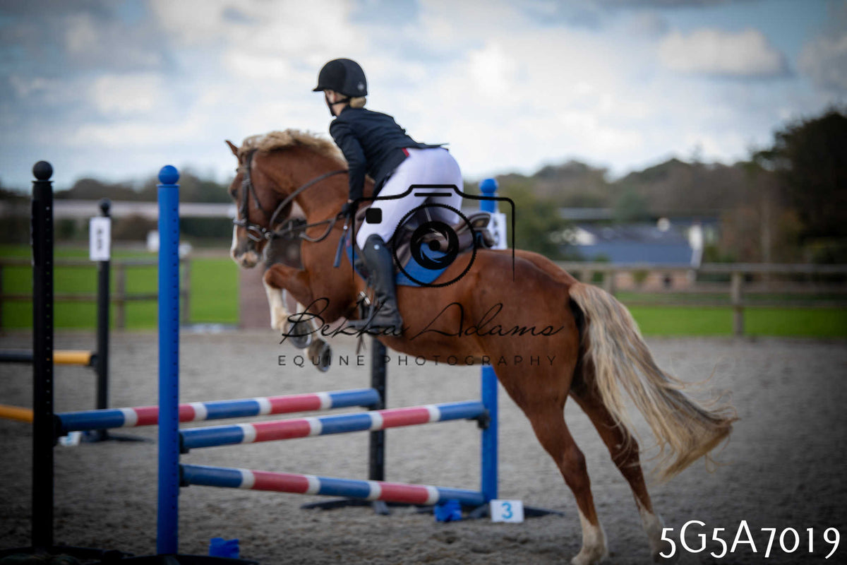 Funshine Show Jumping 2026 - Juniors pt2