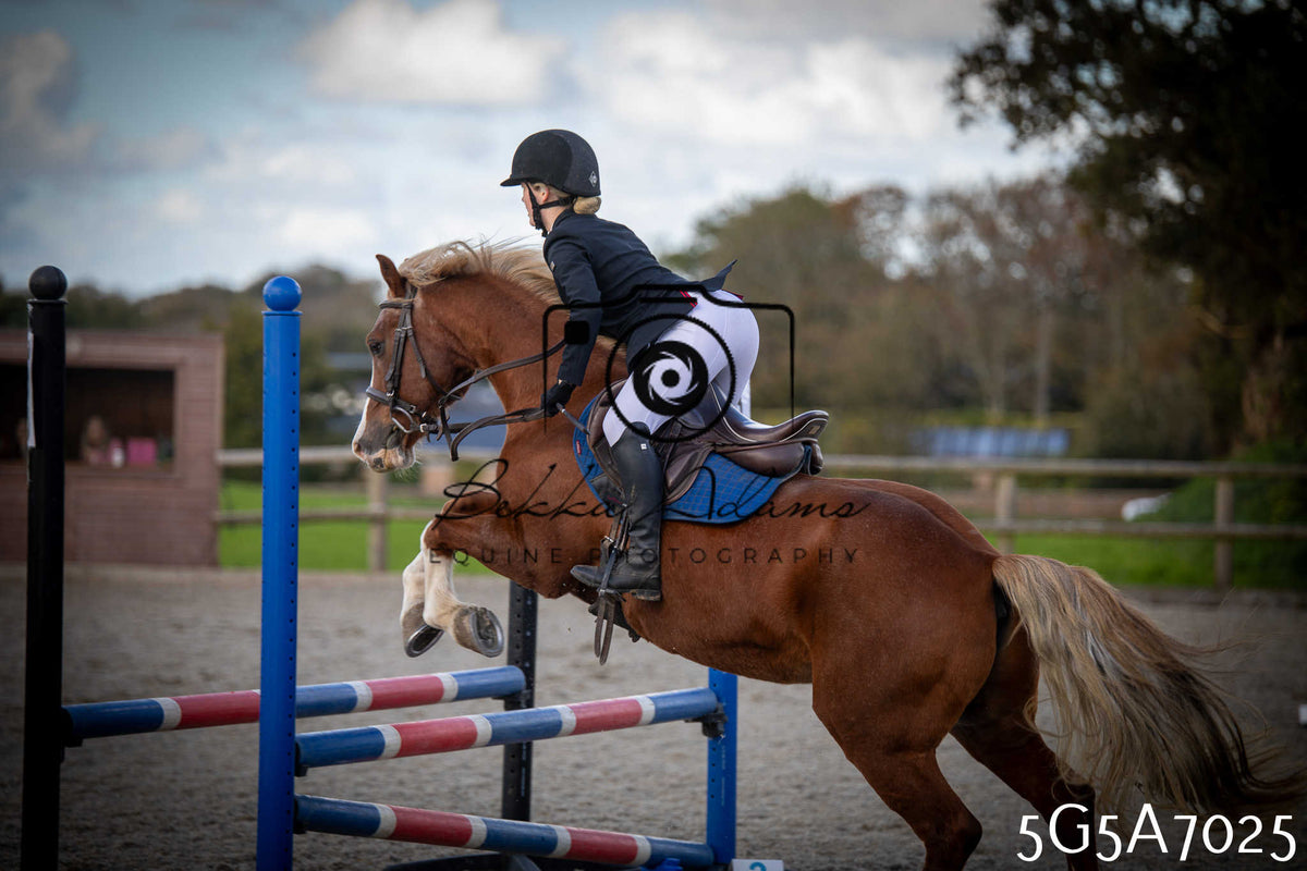 Funshine Show Jumping 2026 - Juniors pt2