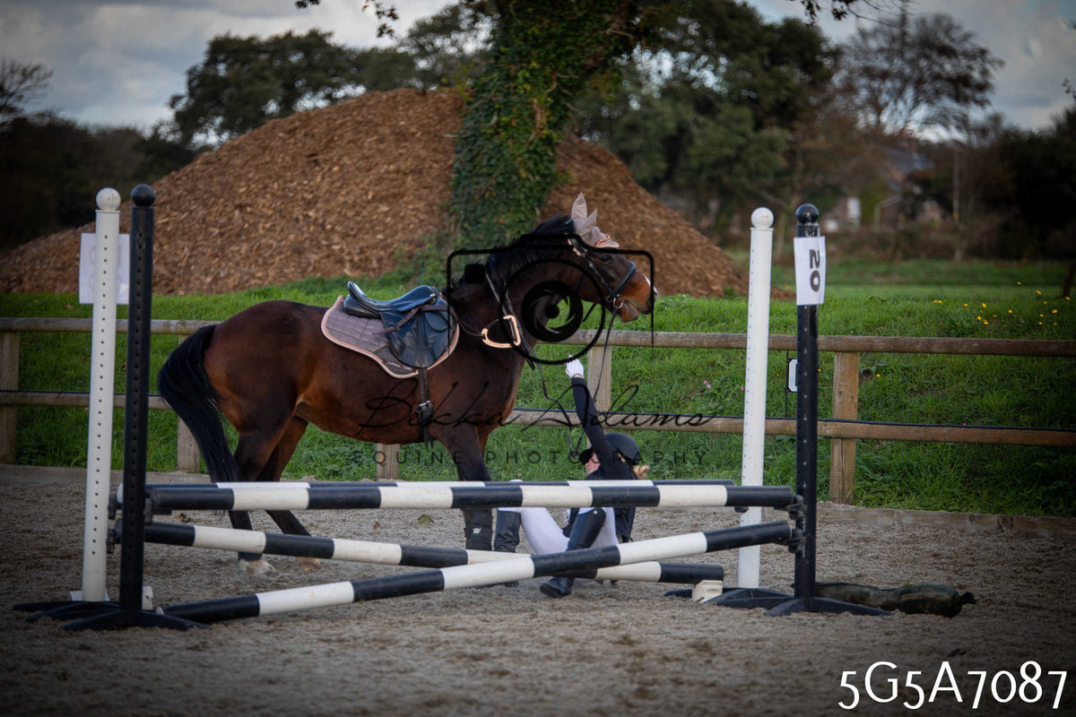Funshine Show Jumping 2026 - Juniors pt2