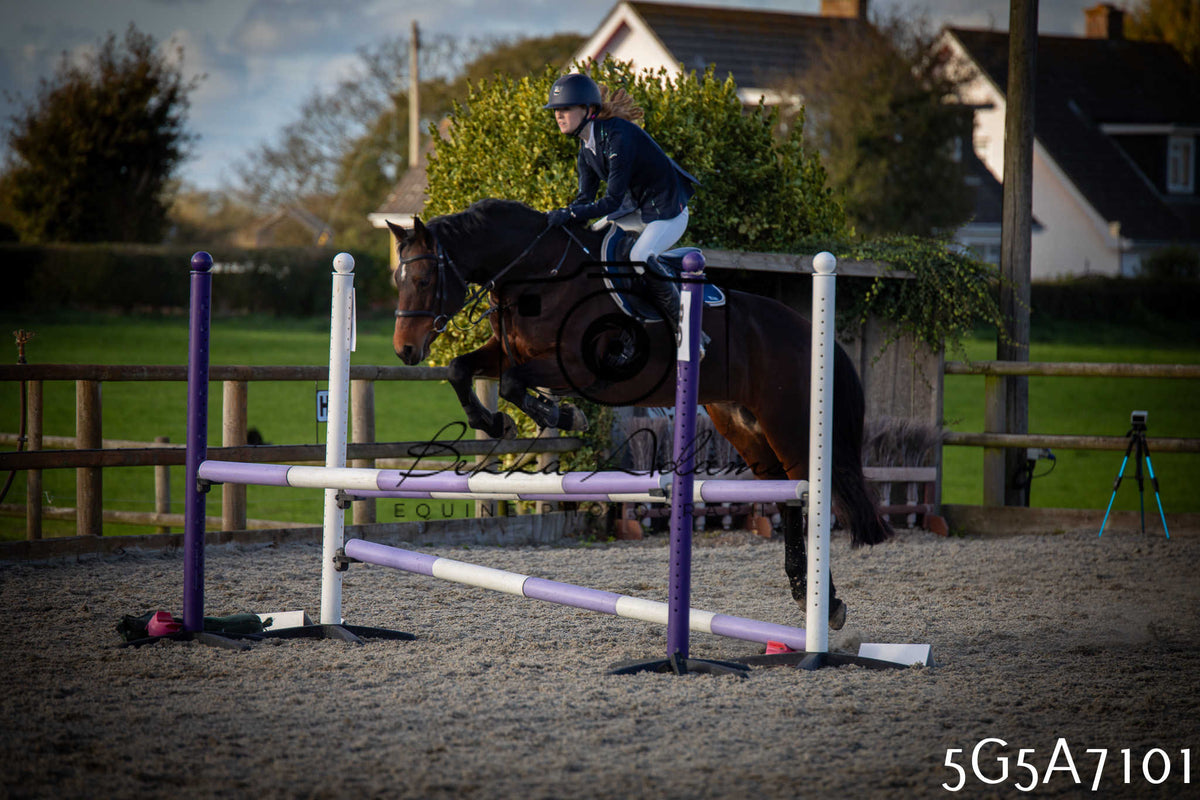Funshine Show Jumping 2026 - Juniors pt2