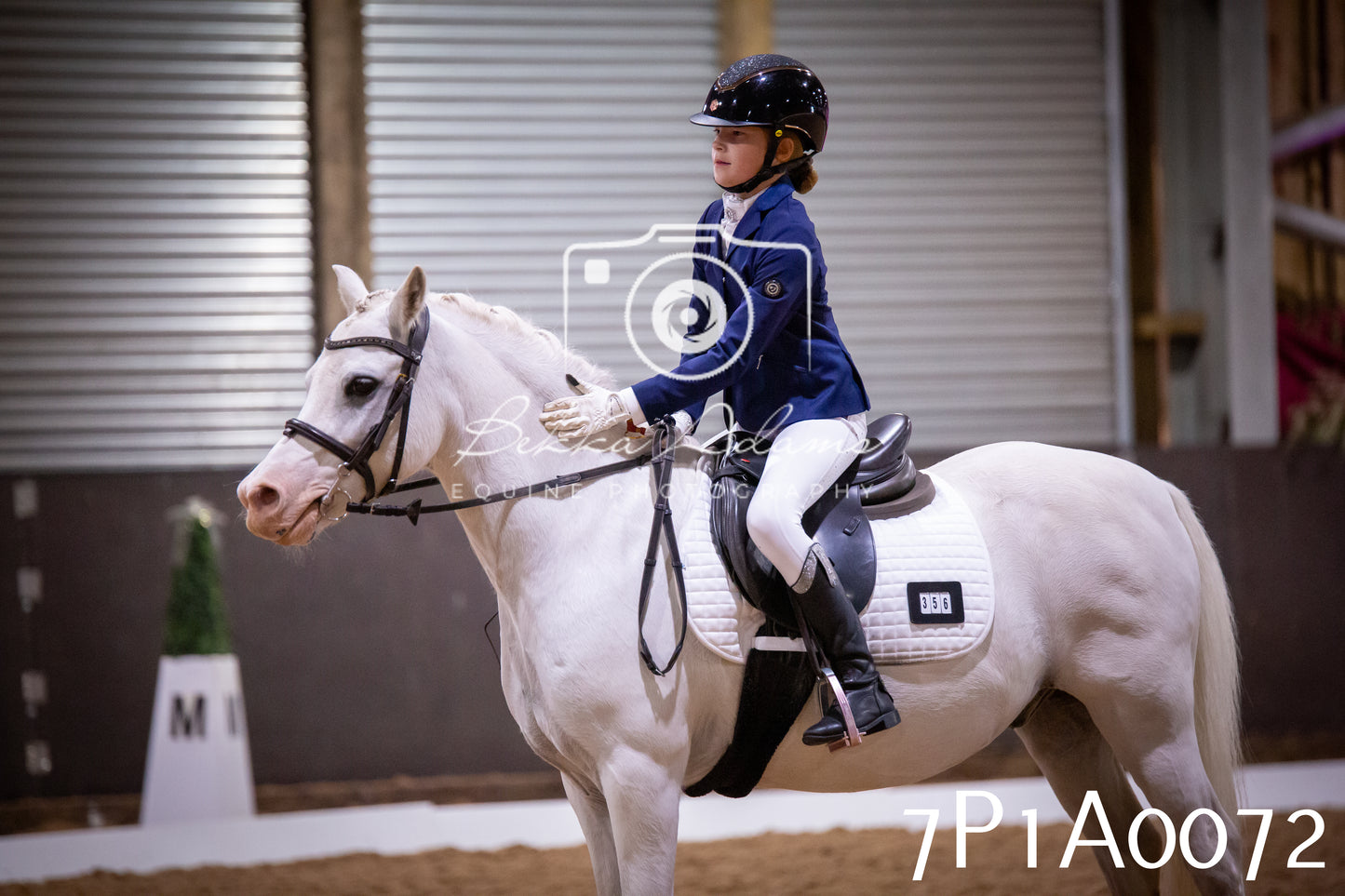 JHOYS 2025 - Dressage - 13th September
