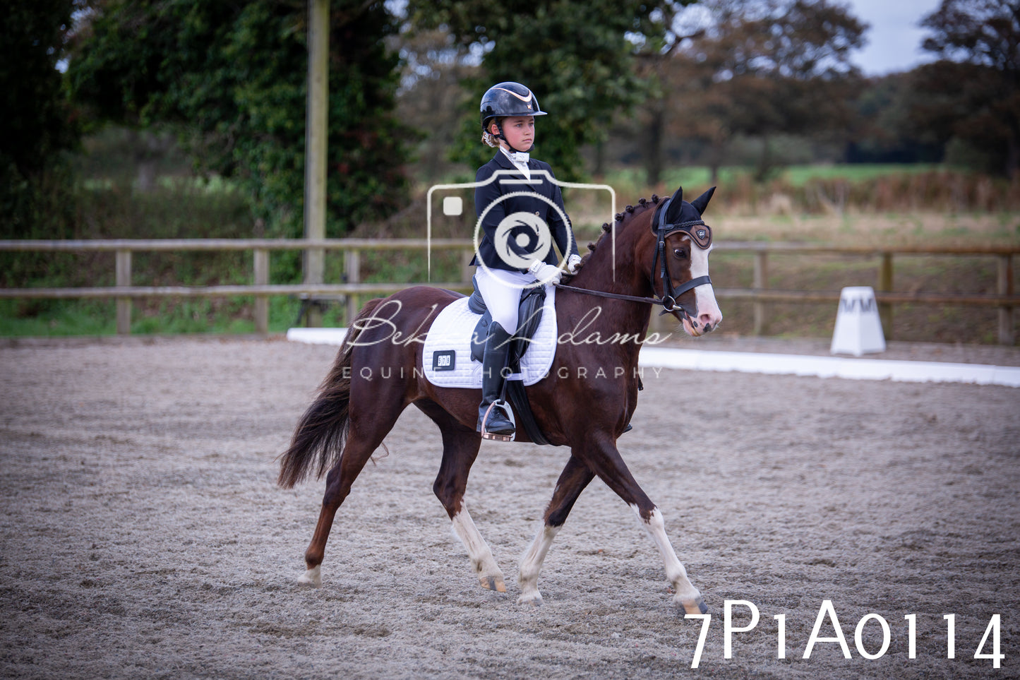 JHOYS 2025 - Dressage - 13th September