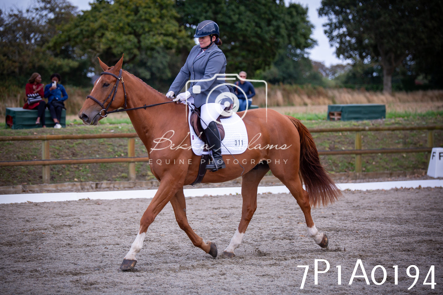 JHOYS 2025 - Dressage - 13th September