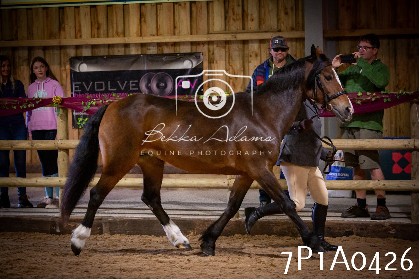 JHOYS 2025 - In hand Showing - 27th September pt2