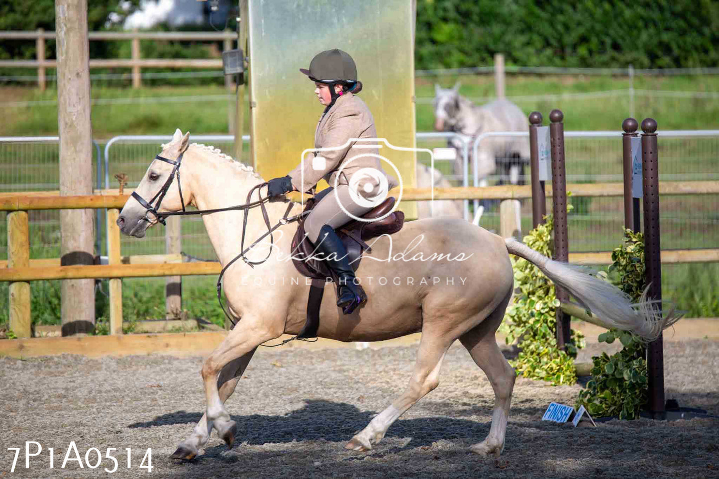 Home Farm Annual Show - Working Hunter 19th August 2023