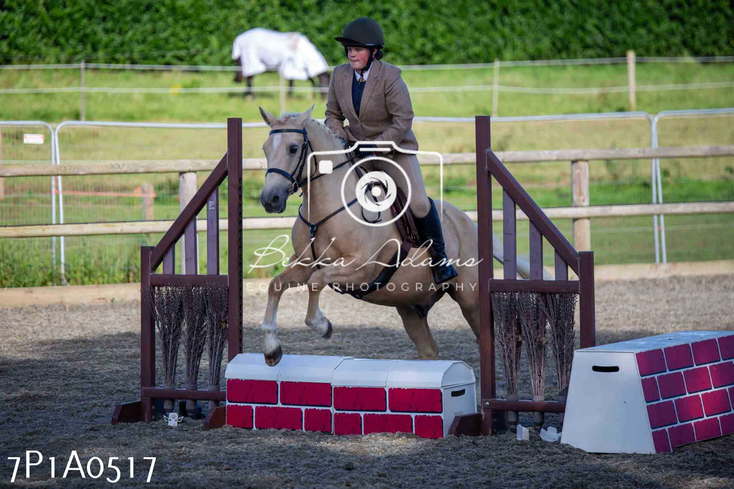 Home Farm Annual Show - Working Hunter 19th August 2023