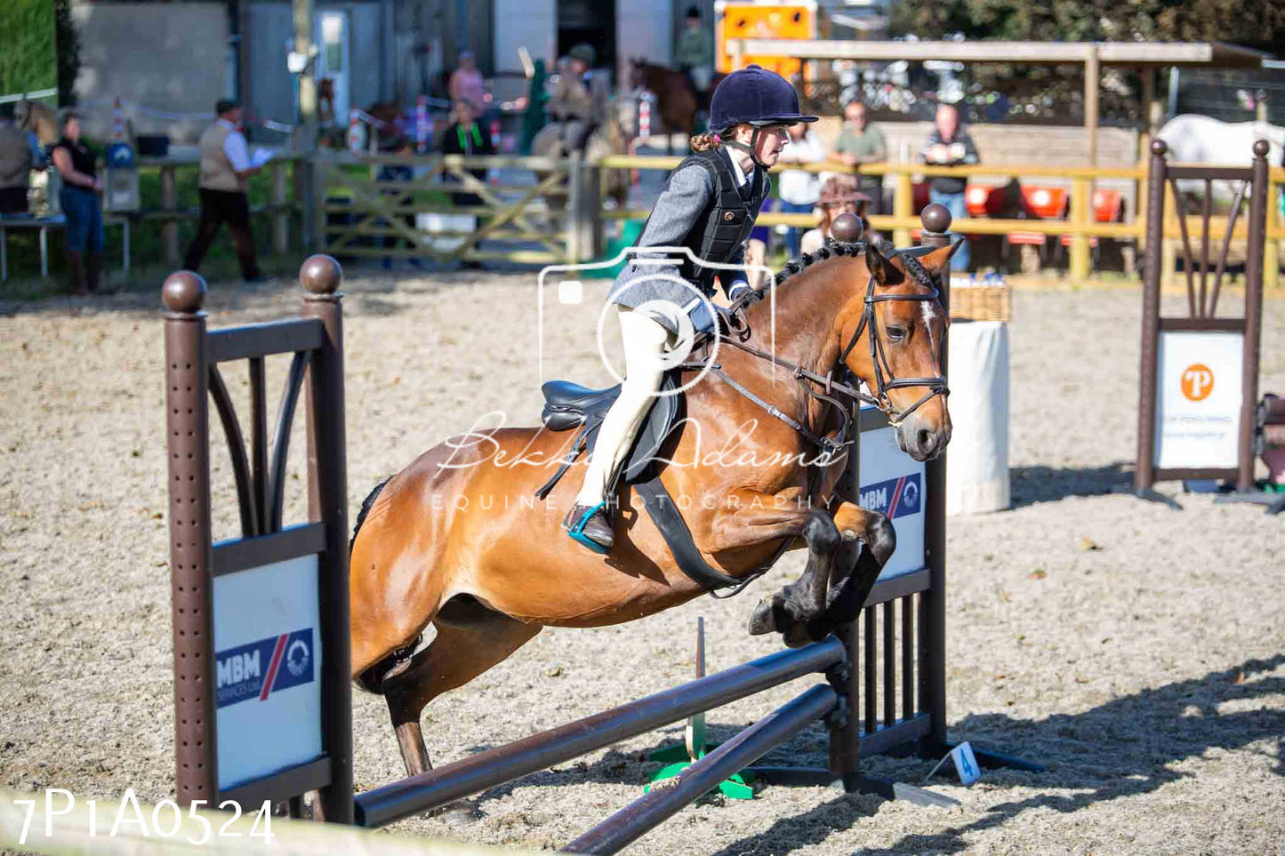 Home Farm Annual Show - Working Hunter 19th August 2023