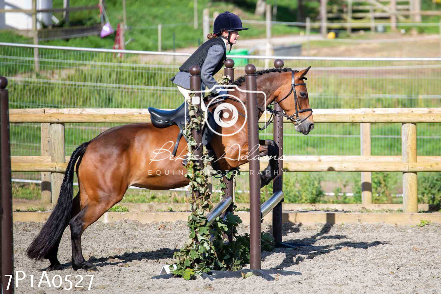 Home Farm Annual Show - Working Hunter 19th August 2023