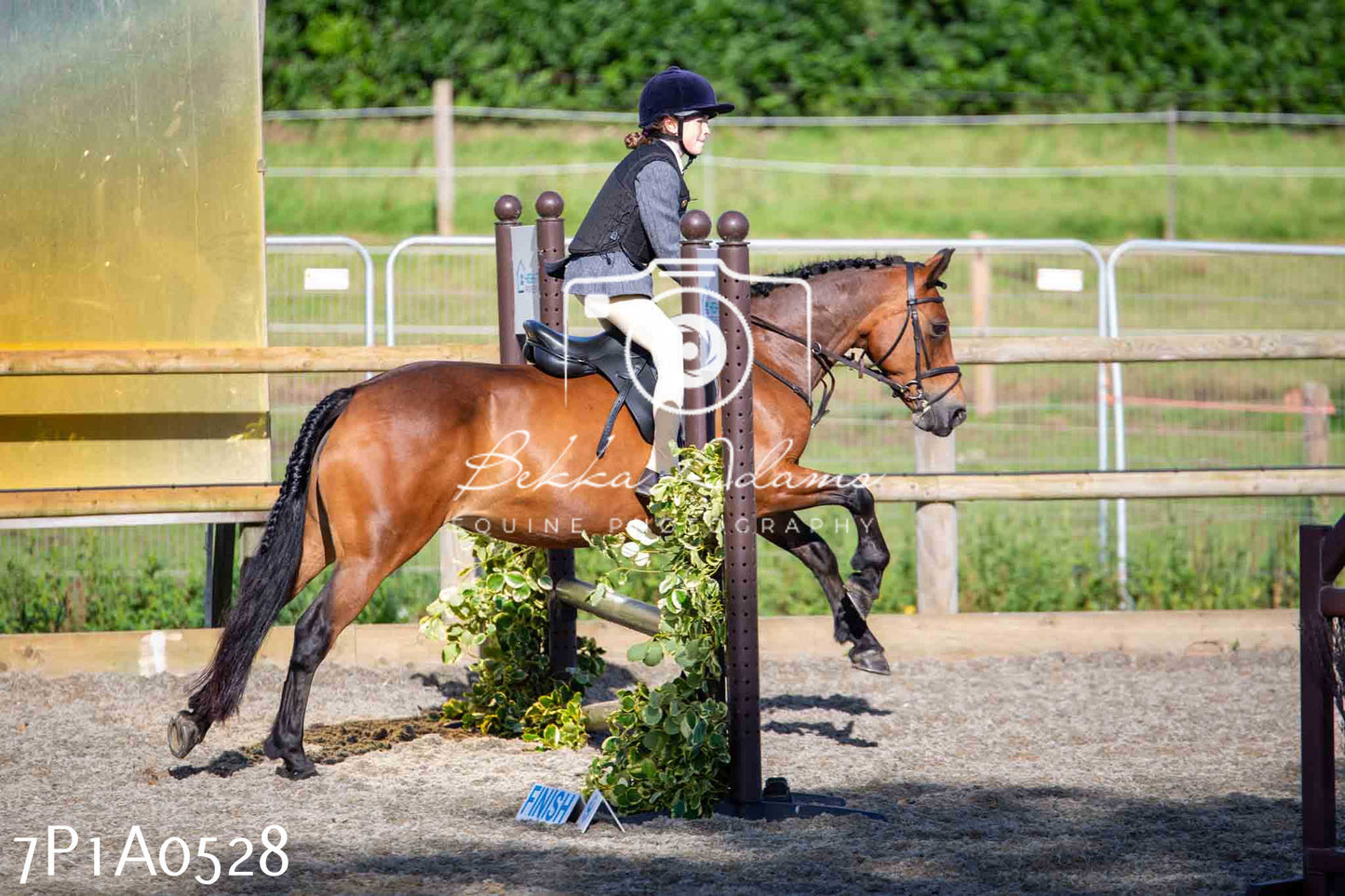 Home Farm Annual Show - Working Hunter 19th August 2023