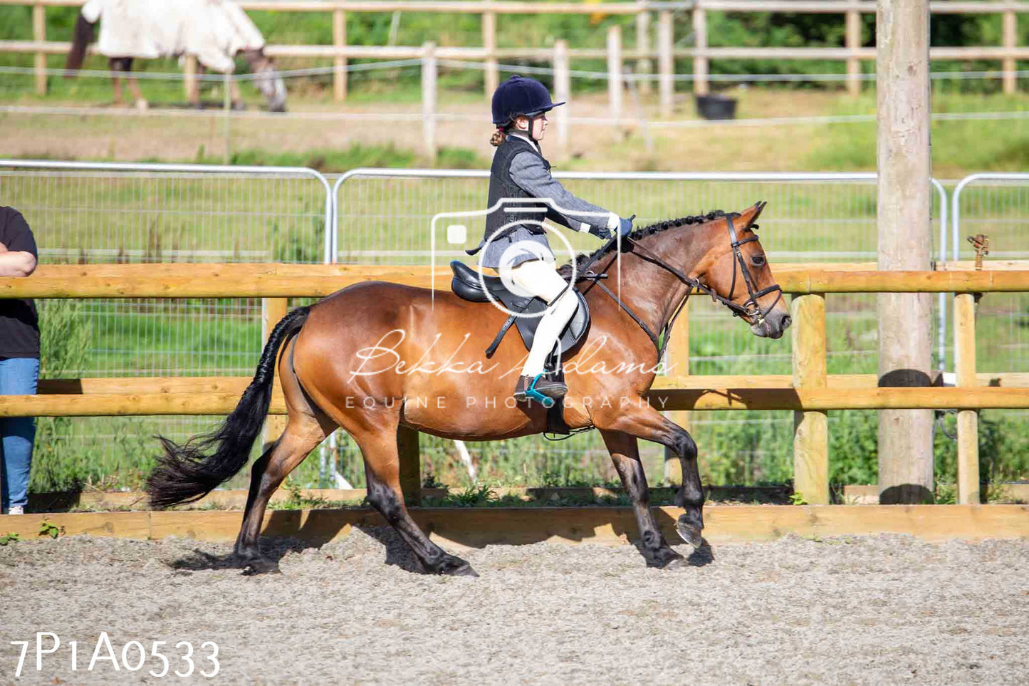 Home Farm Annual Show - Working Hunter 19th August 2023