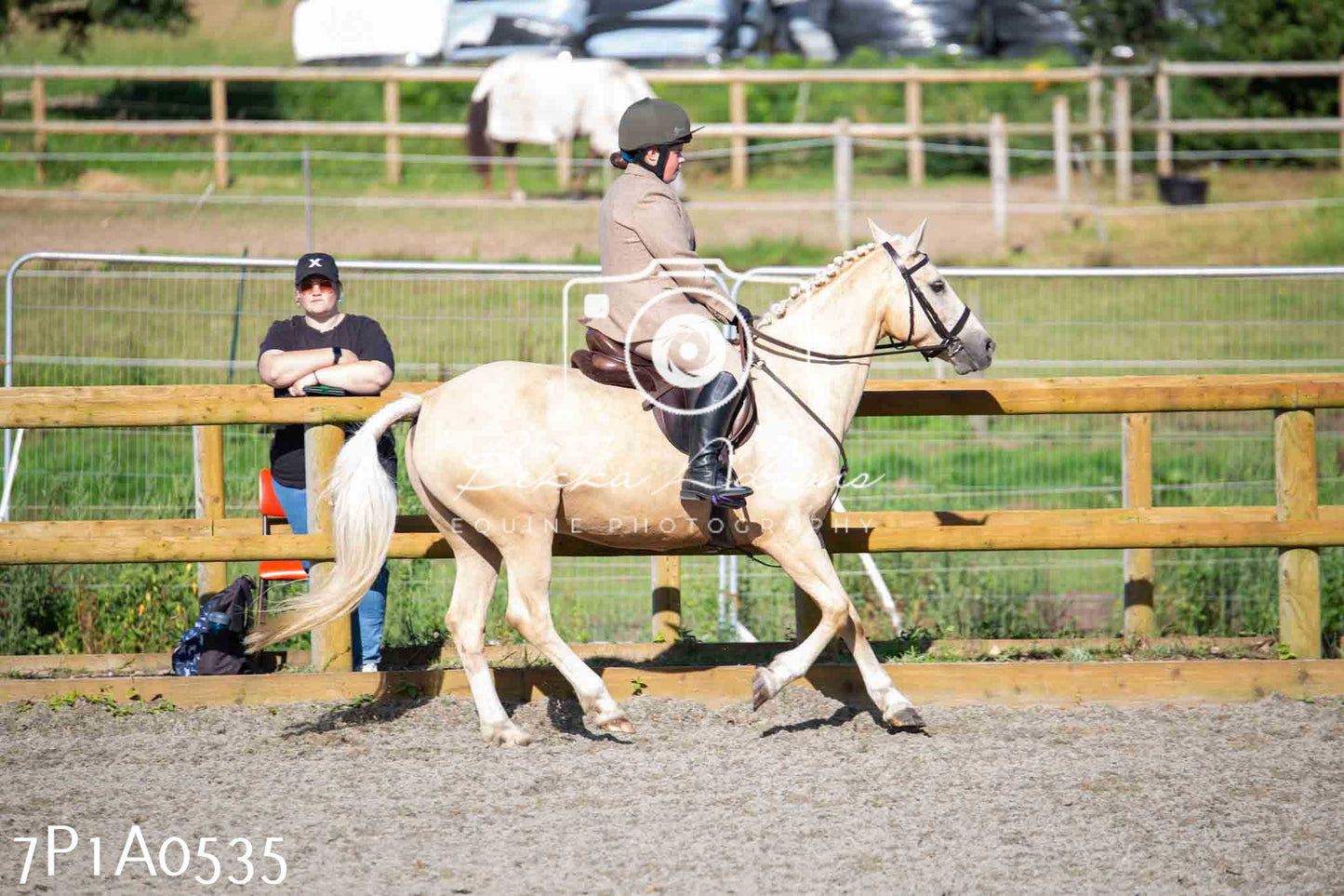 Home Farm Annual Show - Working Hunter 19th August 2023