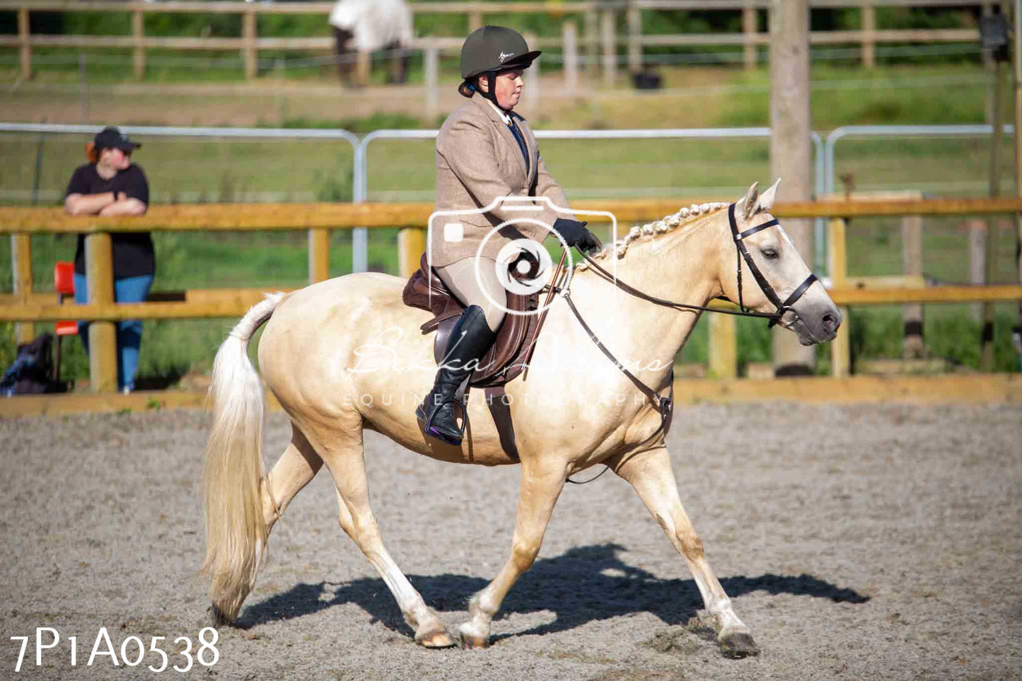 Home Farm Annual Show - Working Hunter 19th August 2023