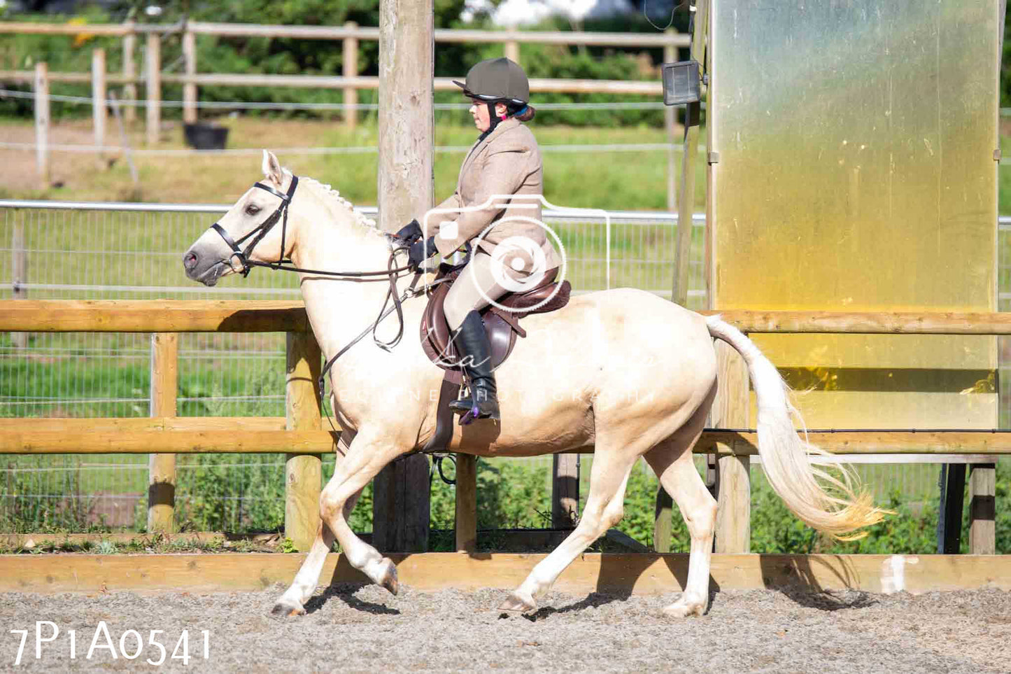 Home Farm Annual Show - Working Hunter 19th August 2023