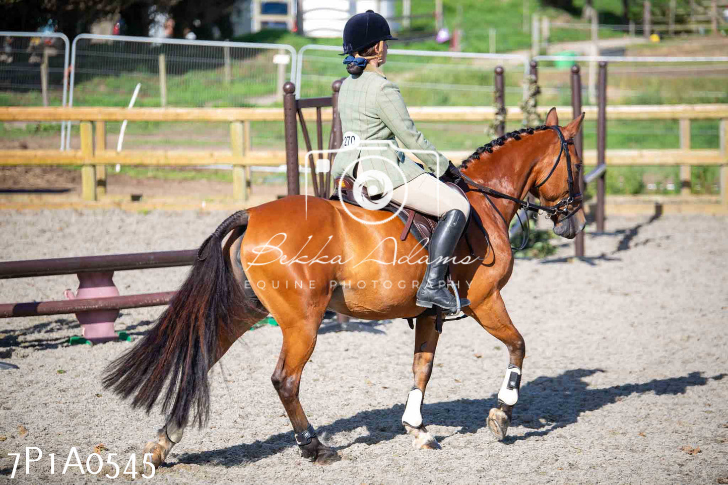 Home Farm Annual Show - Working Hunter 19th August 2023