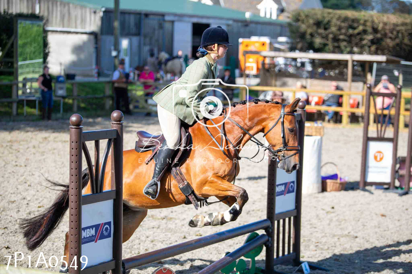 Home Farm Annual Show - Working Hunter 19th August 2023