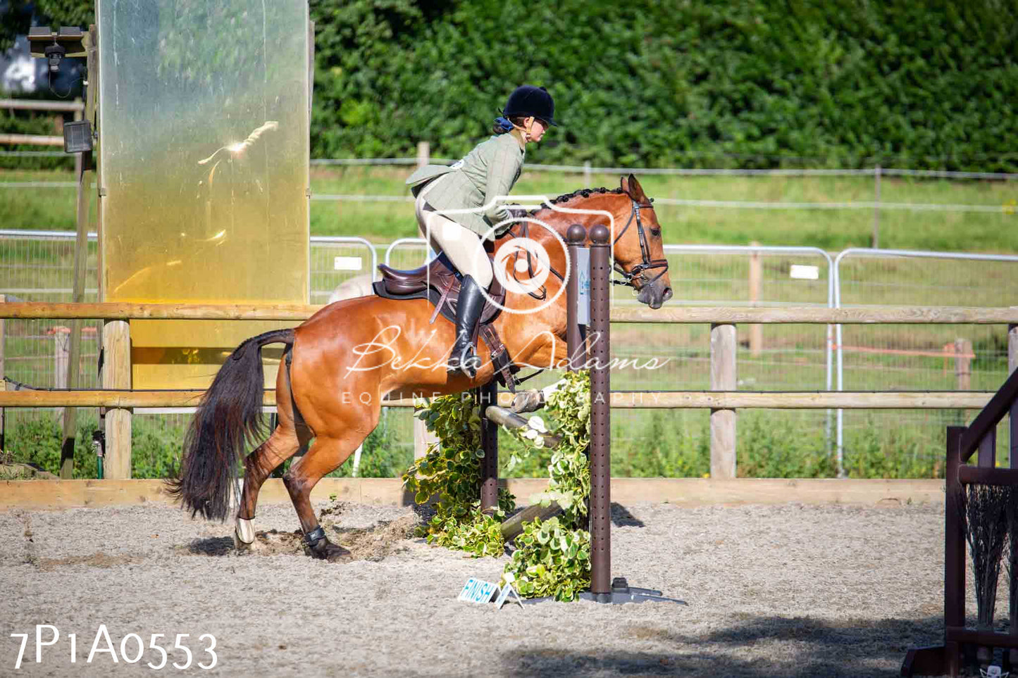 Home Farm Annual Show - Working Hunter 19th August 2023